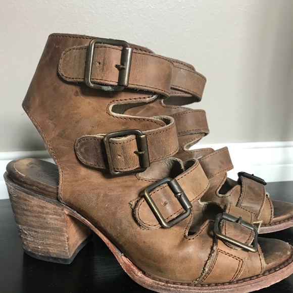 freebird by steven quail